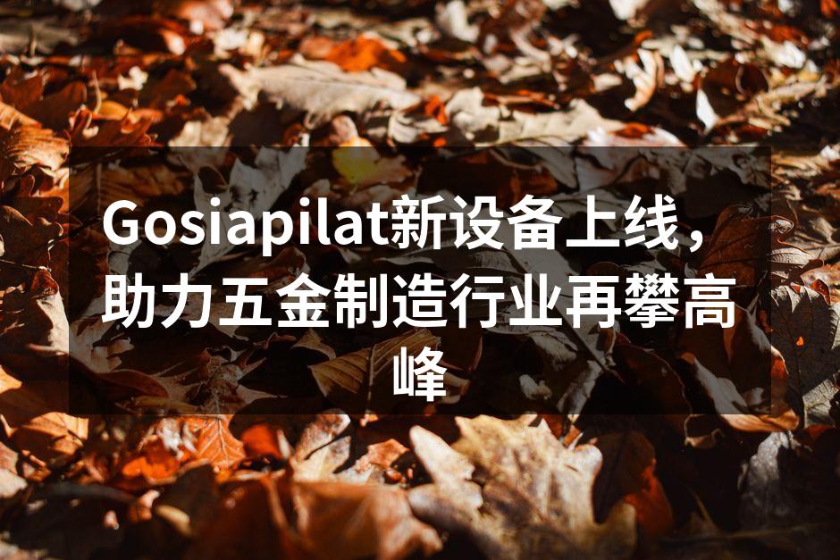 Gosiapilat新设备上线，助力五金制造行业再攀高峰